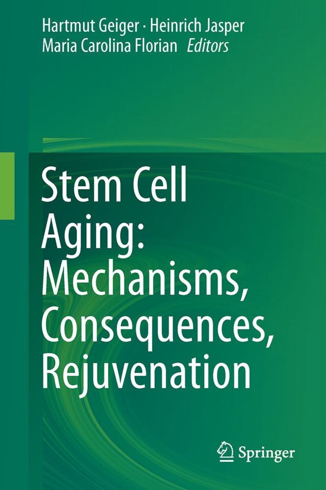 Stem Cell Aging: Mechanisms Consequences Rejuvenation