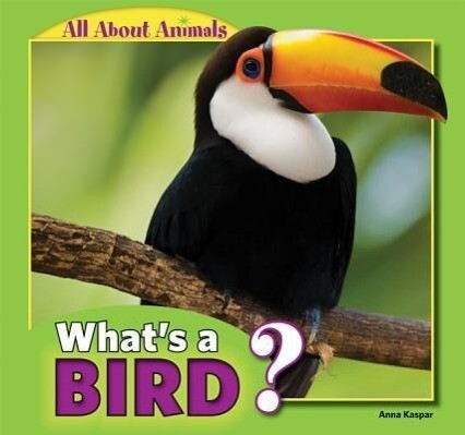 What‘s a Bird?