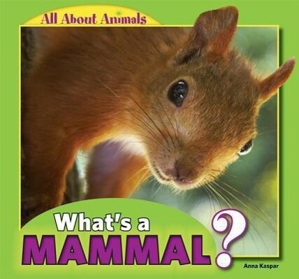 What‘s a Mammal?