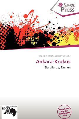 Ankara-Krokus