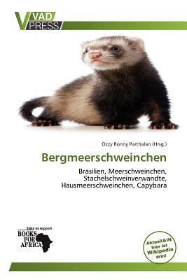 Bergmeerschweinchen