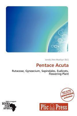 Pentace Acuta