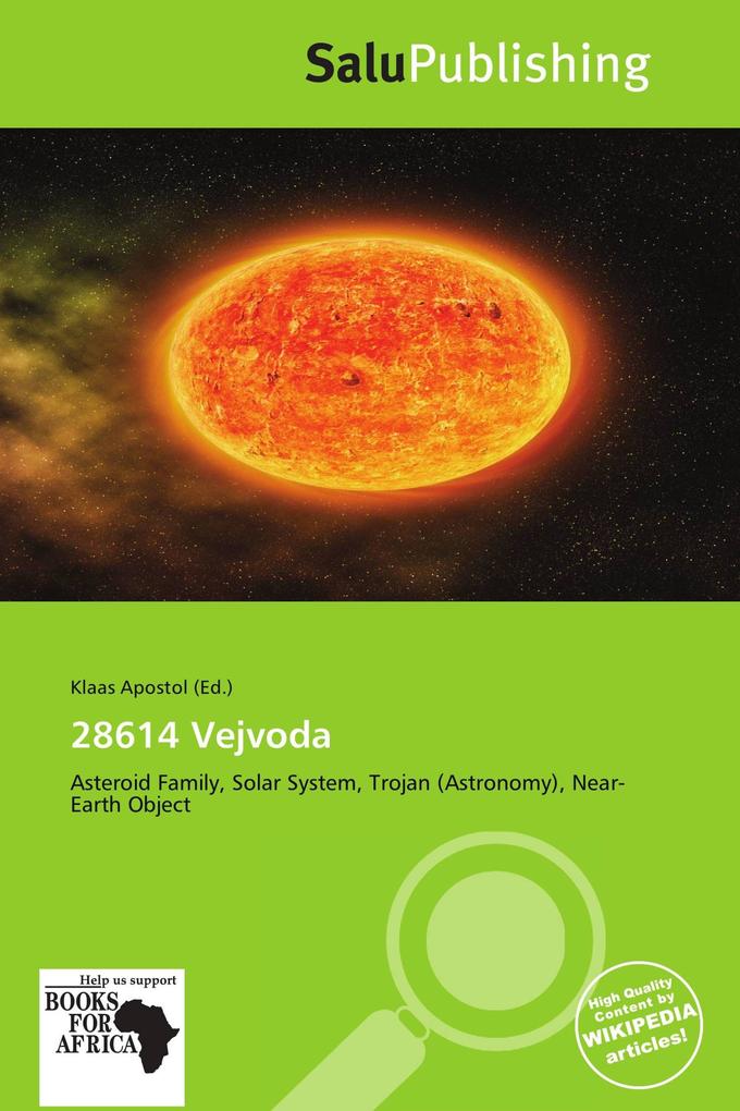 28614 Vejvoda