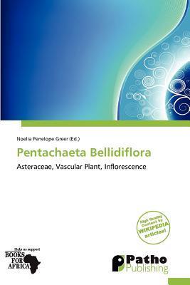 Pentachaeta Bellidiflora