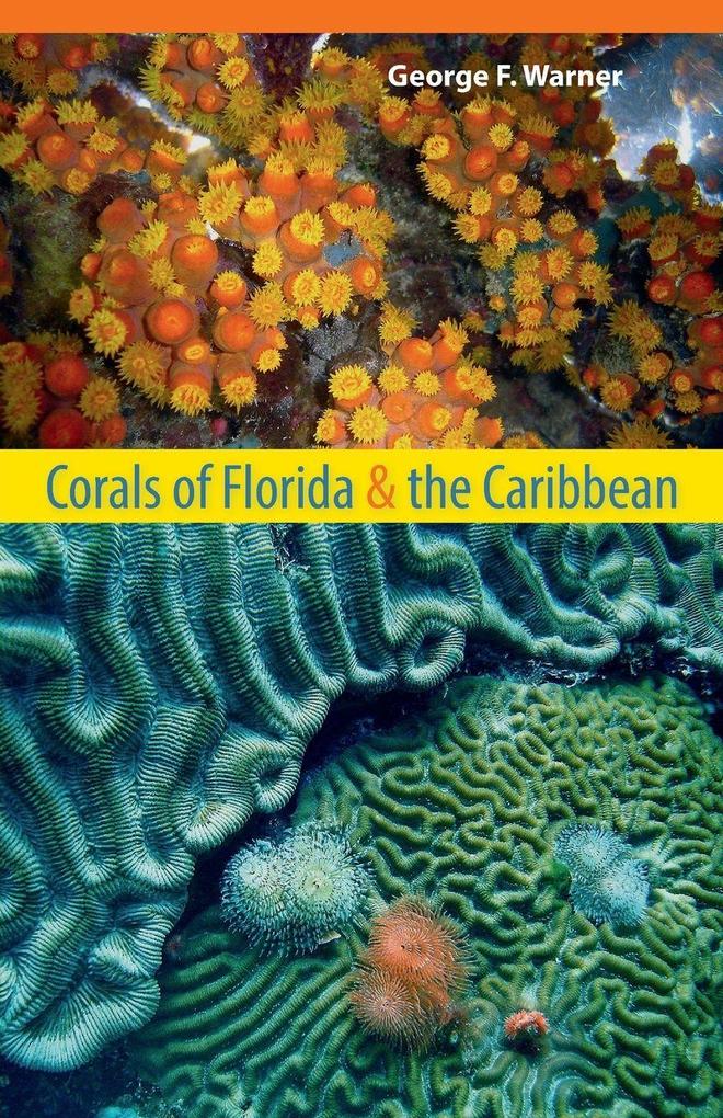 Corals of Florida and the Caribbean