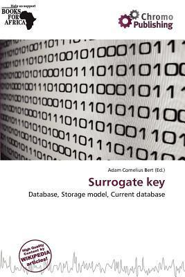Surrogate key