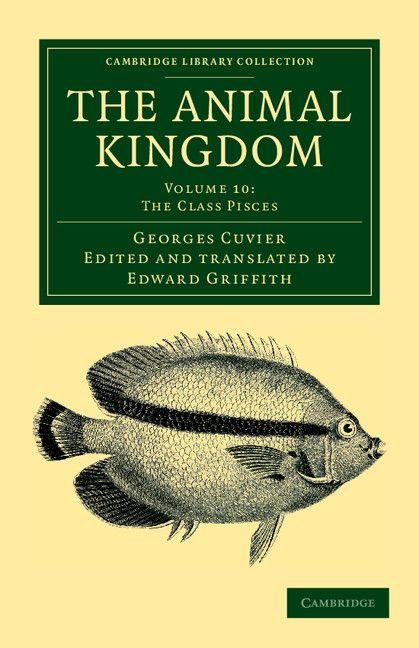 The Animal Kingdom - Volume 10