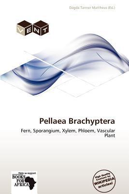 Pellaea Brachyptera
