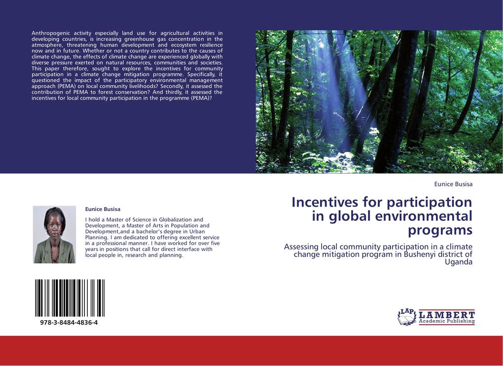 Incentives for participation in global environmental programs
