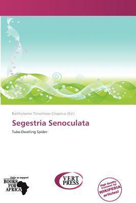 Segestria Senoculata