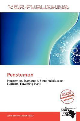Penstemon