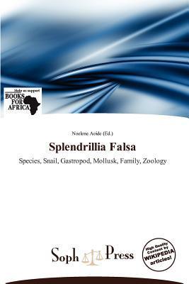 Splendrillia Falsa