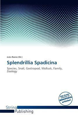 Splendrillia Spadicina