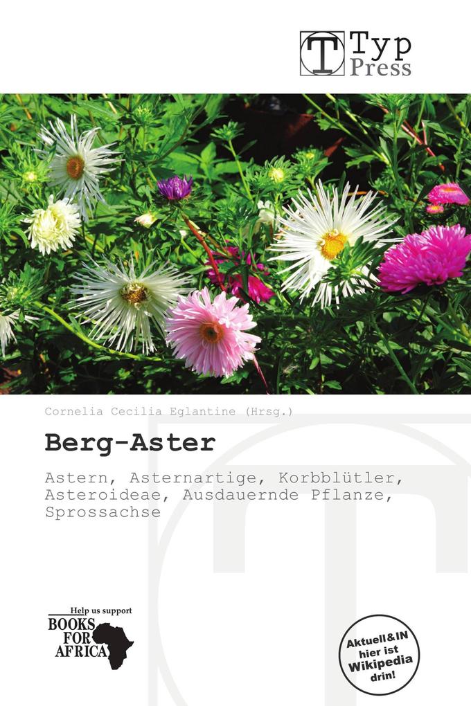 Berg-Aster