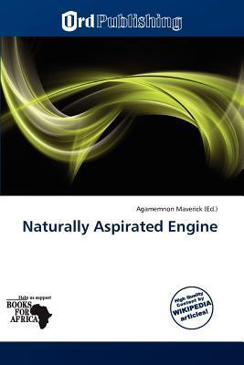 Naturally Aspirated Engine