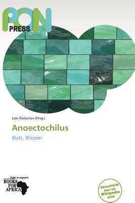 Anoectochilus