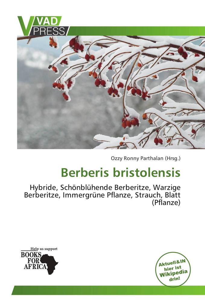 Berberis bristolensis
