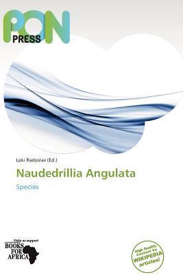 Naudedrillia Angulata
