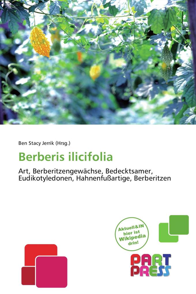 Berberis ilicifolia