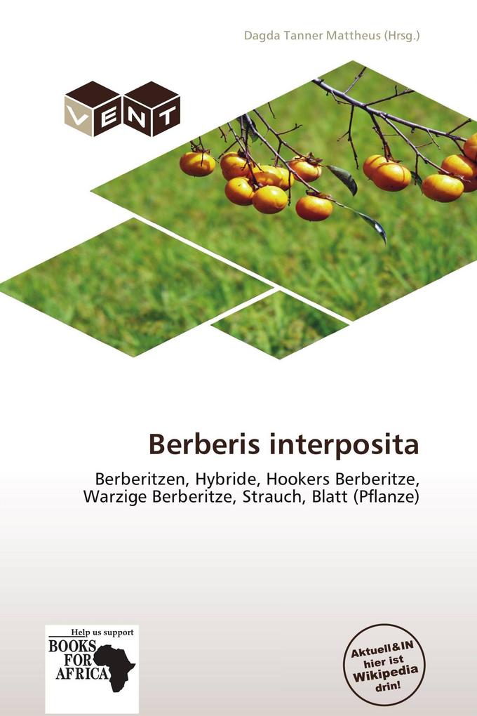 Berberis interposita