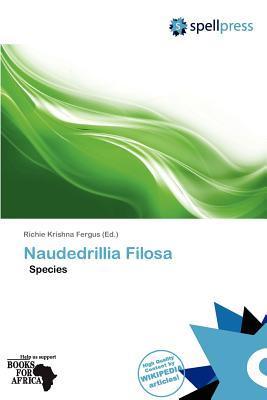 Naudedrillia Filosa