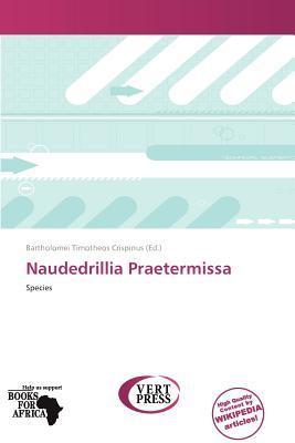 Naudedrillia Praetermissa