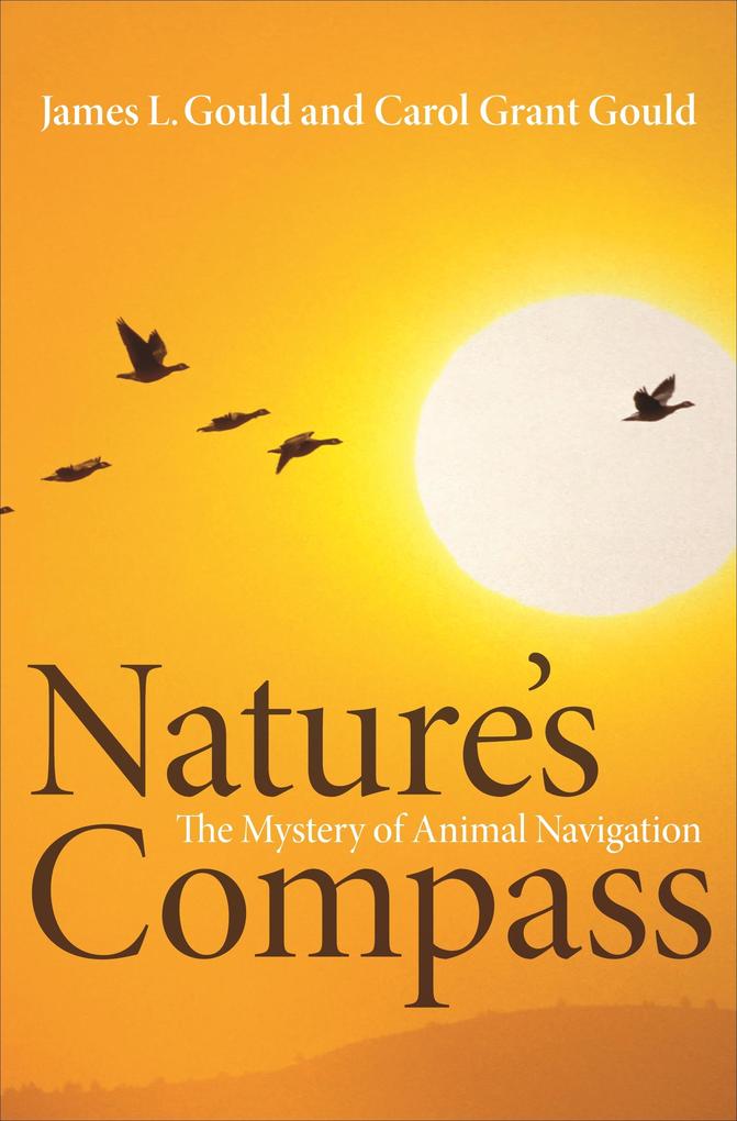 Nature‘s Compass