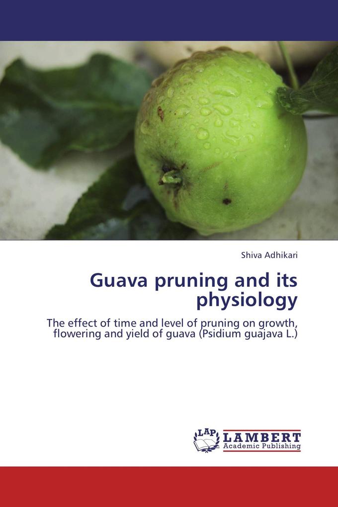 Guava pruning and its physiology