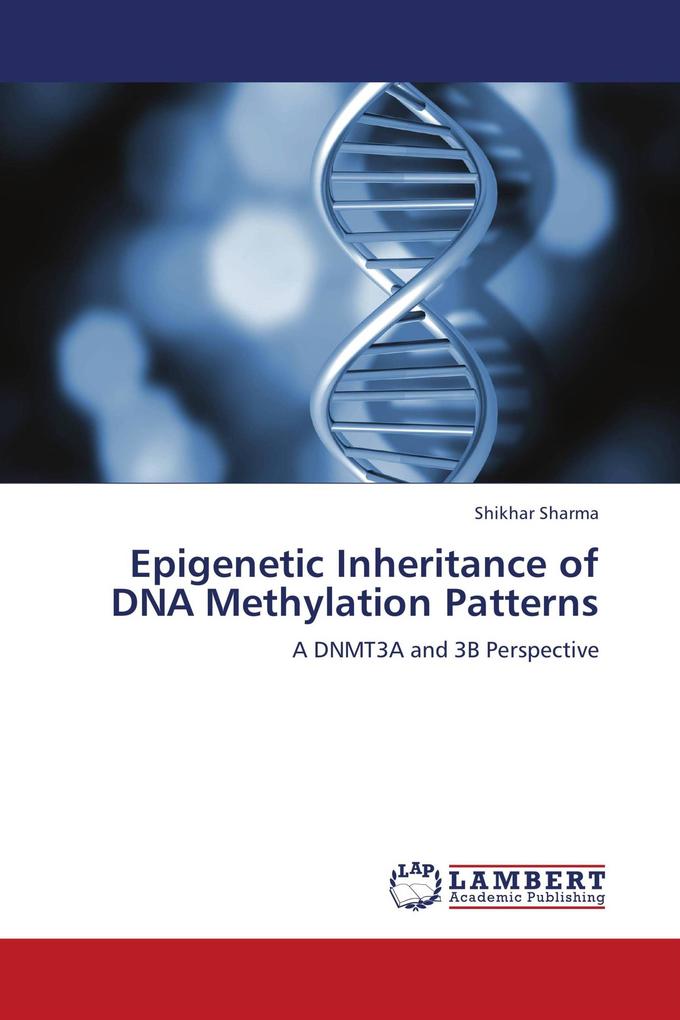 Epigenetic Inheritance of DNA Methylation Patterns