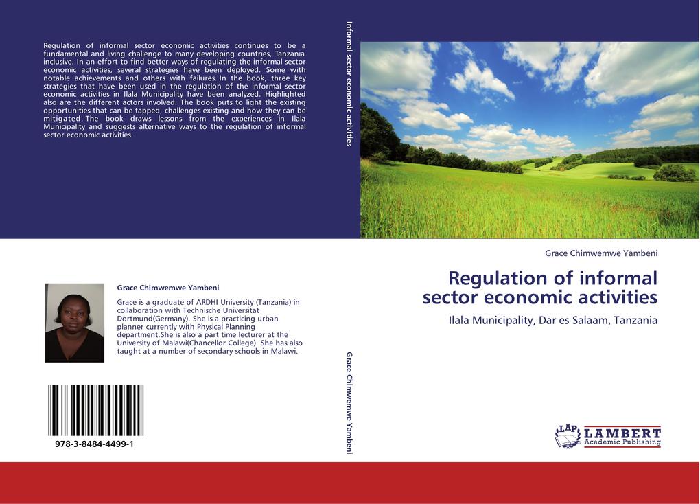 Regulation of informal sector economic activities