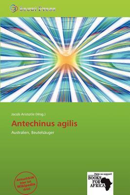 Antechinus agilis