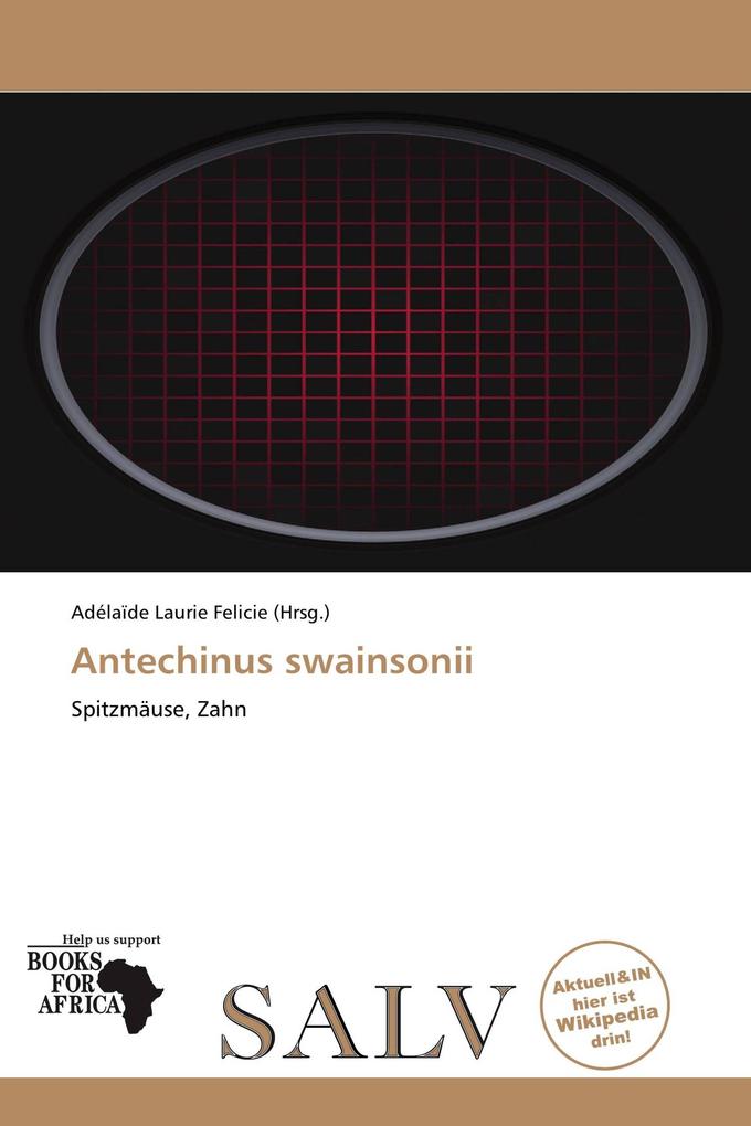 Antechinus swainsonii