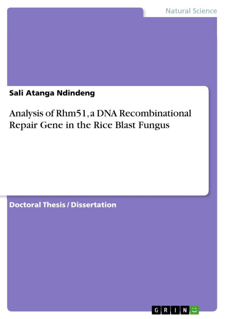 Analysis of Rhm51 a DNA Recombinational Repair Gene in the Rice Blast Fungus