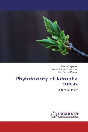 Phytotoxicity of Jatropha curcas - Saxena Tapasya/ Arunachalam Venkatesh/ Ram Vinod Kumar
