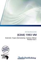 (6344) 1993 VM