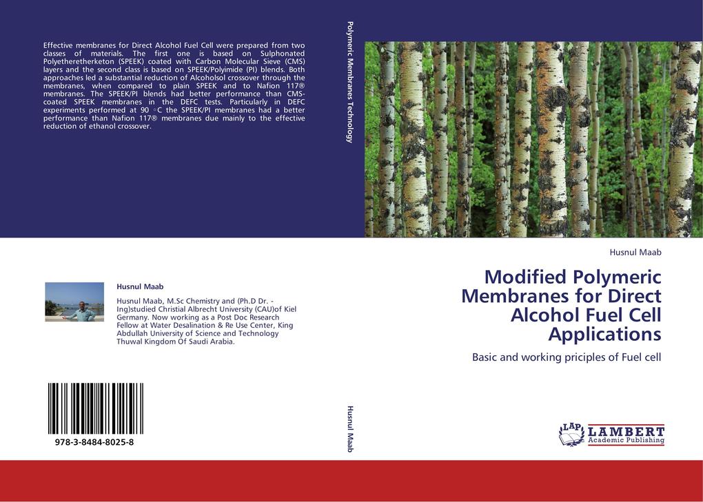 Modified Polymeric Membranes for Direct Alcohol Fuel Cell Applications