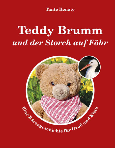 Image of Teddy Brumm und der Storch auf Föhr