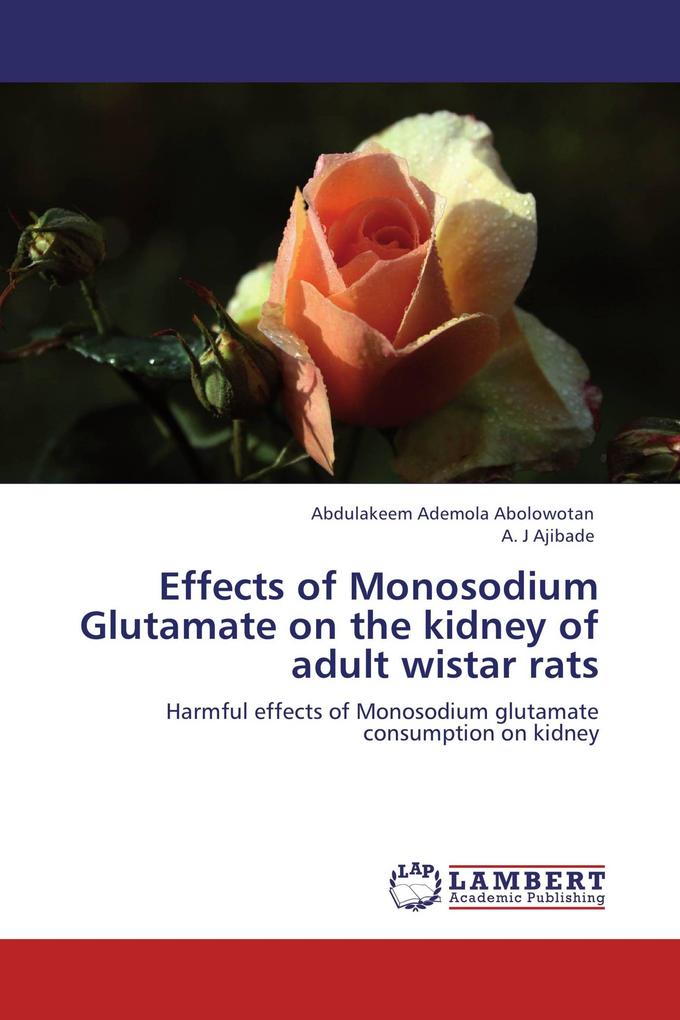 Effects of Monosodium Glutamate on the kidney of adult wistar rats