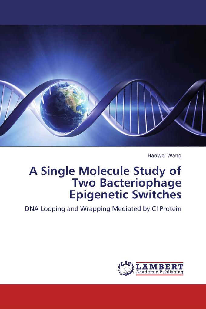 A Single Molecule Study of Two Bacteriophage Epigenetic Switches