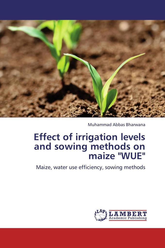 Effect of irrigation levels and sowing methods on maize 'WUE'