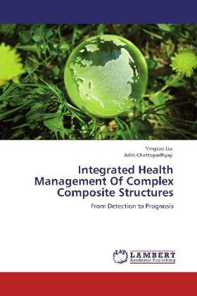 Integrated Health Management Of Complex Composite Structures
