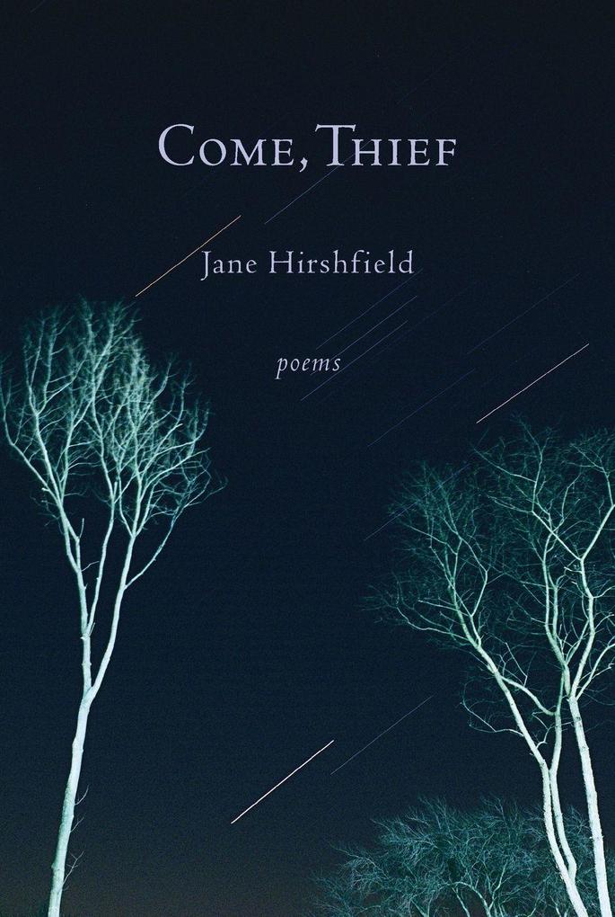 Come Thief