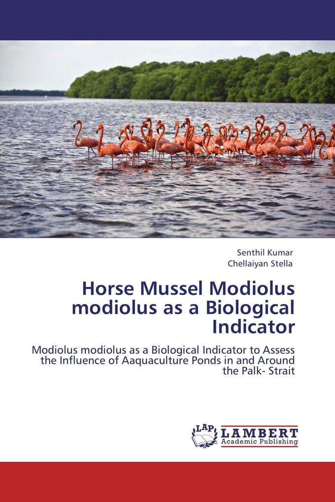 Horse Mussel Modiolus modiolus as a Biological Indicator