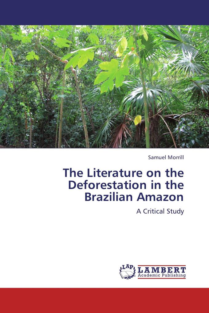 The Literature on the Deforestation in the Brazilian Amazon