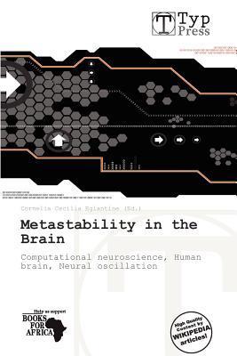 Metastability in the Brain