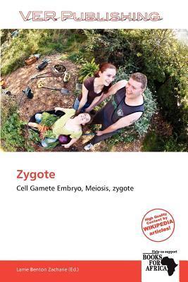 Zygote