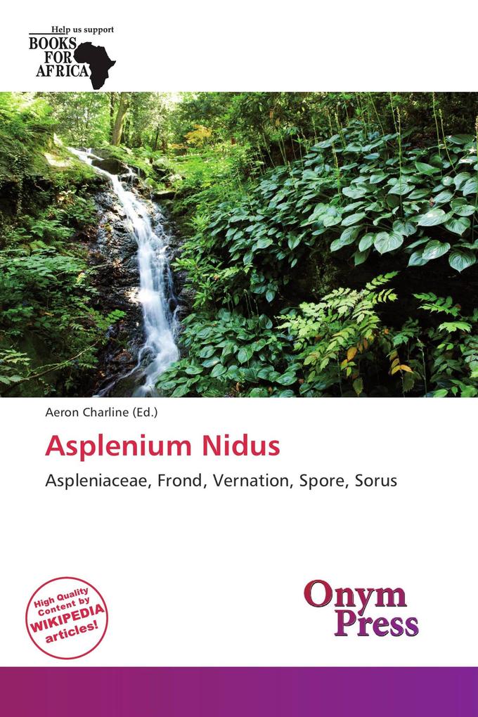 Asplenium Nidus
