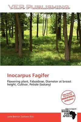 Inocarpus Fagifer