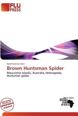 Brown Huntsman Spider