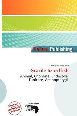 Gracile lizardfish